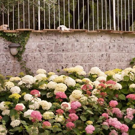 Villa Annabelle Sant'Agata sui due Golfi Bagian luar foto