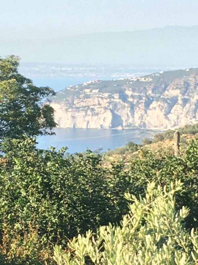 Villa Annabelle Sant'Agata sui due Golfi Bagian luar foto