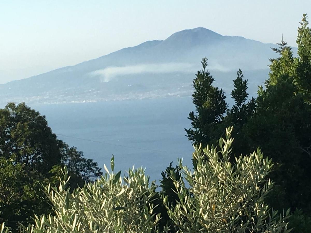 Villa Annabelle Sant'Agata sui due Golfi Bagian luar foto