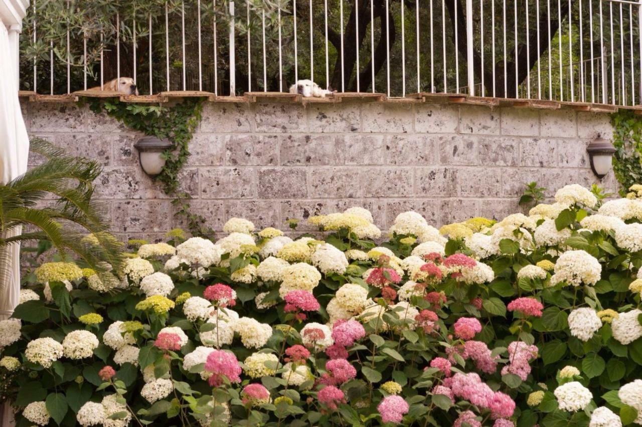 Villa Annabelle Sant'Agata sui due Golfi Bagian luar foto